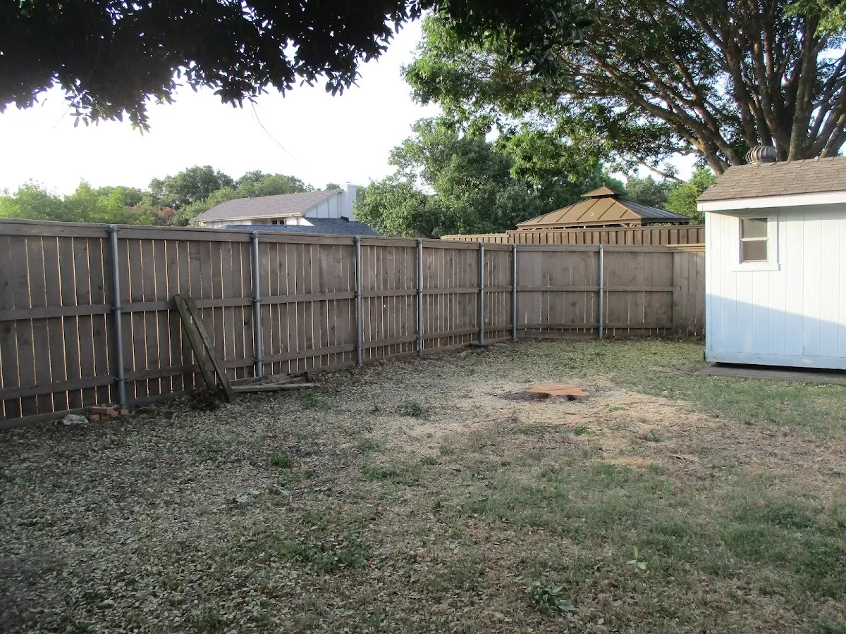 Cleared yard after professional tree removal in South Lyon